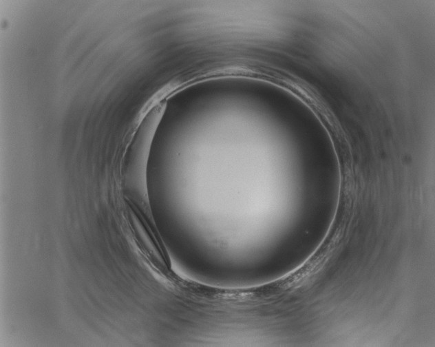 X0000065240858200603031737