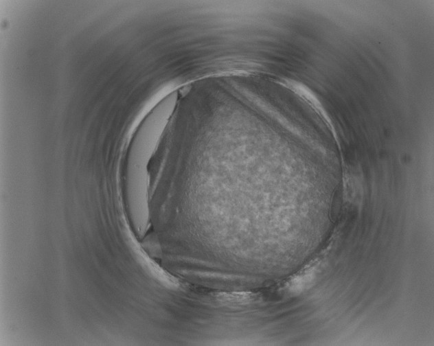 X0000065240859200603031737