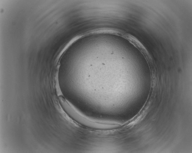 X0000065240860200603031737