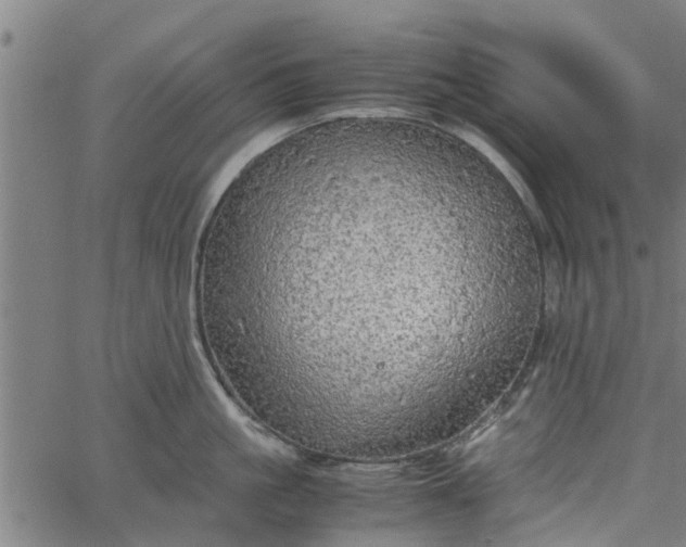 X0000065240861200603031737