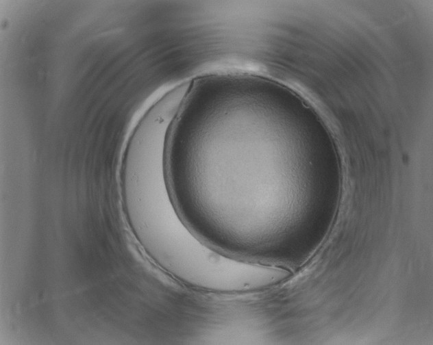 X0000065240864200603031737