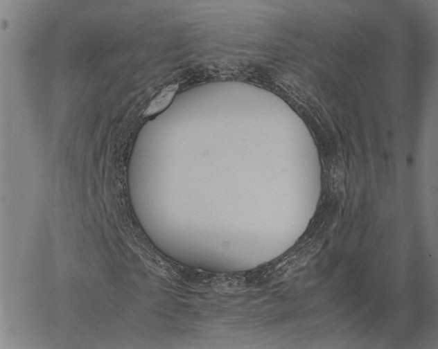 X0000065240865200603031736