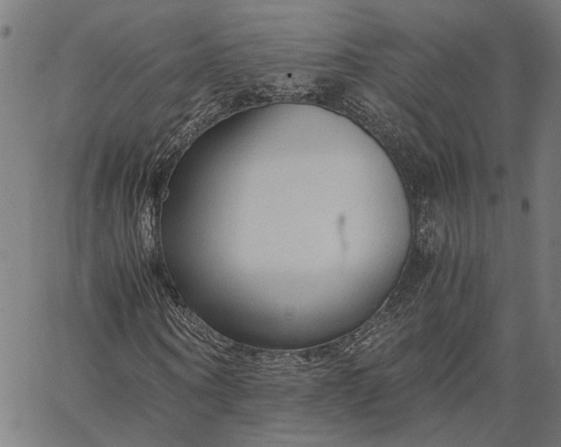 X0000065240866200603031736