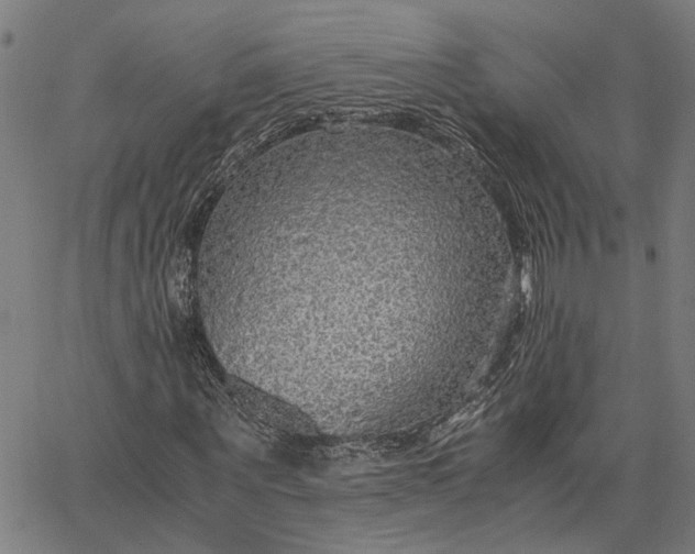 X0000065240867200603031736