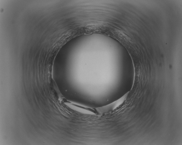 X0000065240868200603031736