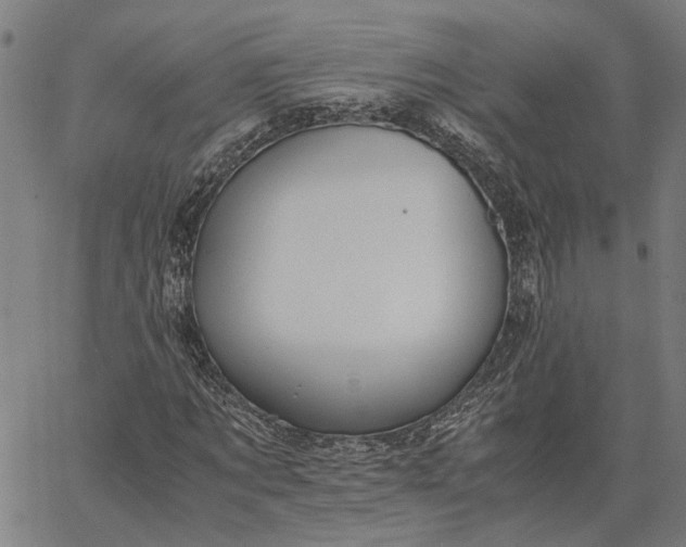 X0000065240869200603031736