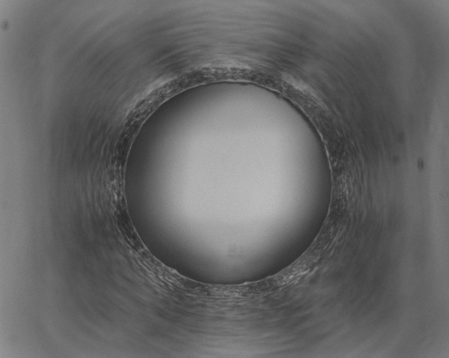 X0000065240870200603031736