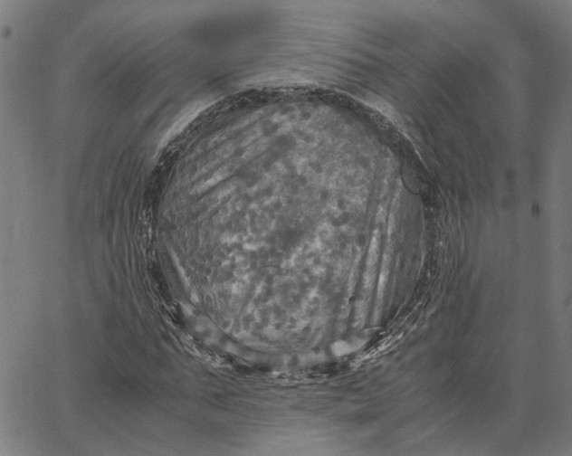 X0000065240871200603031736