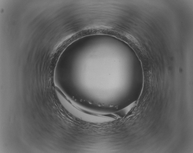 X0000065240872200603031736