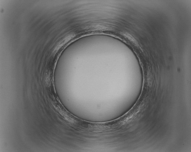 X0000065240873200603031736