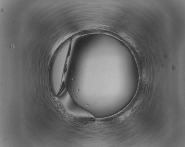 X0000065240877200603031736