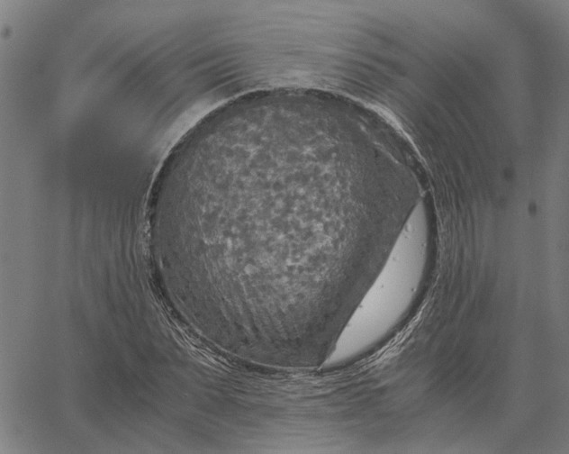 X0000065240879200603031736