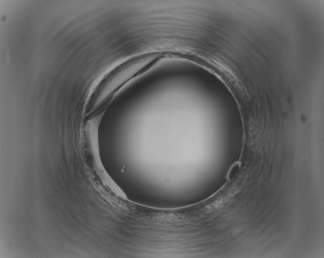 X0000065240880200603031736