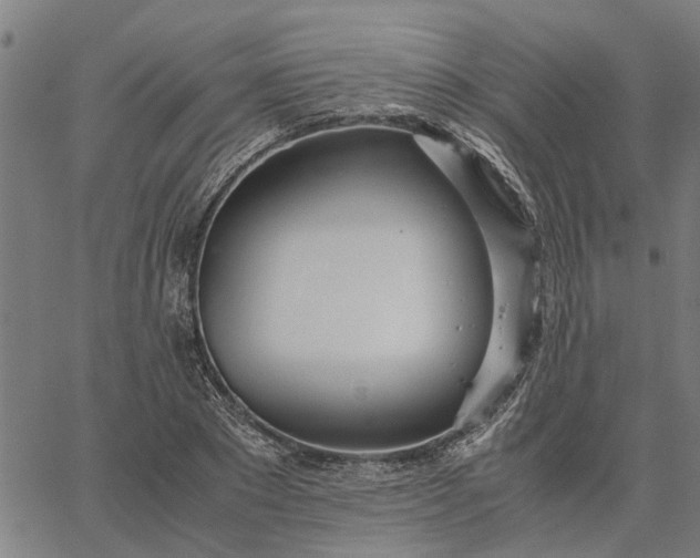 X0000065240881200603031736