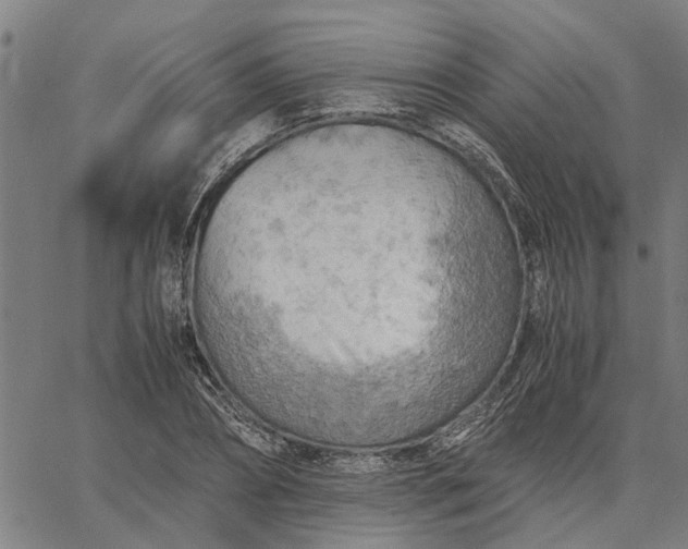 X0000065240882200603031736