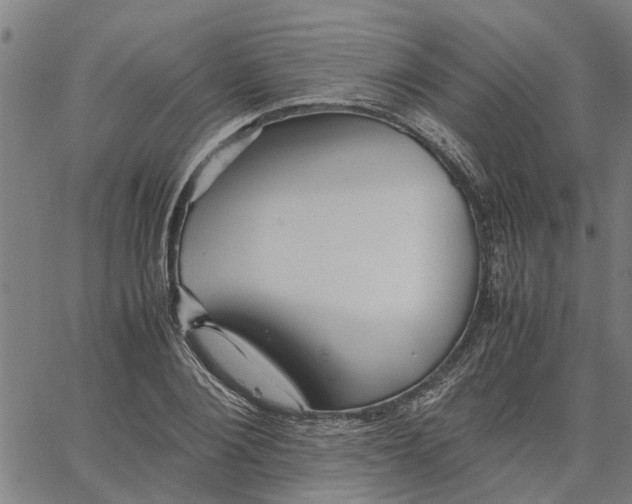 X0000065240884200603031736