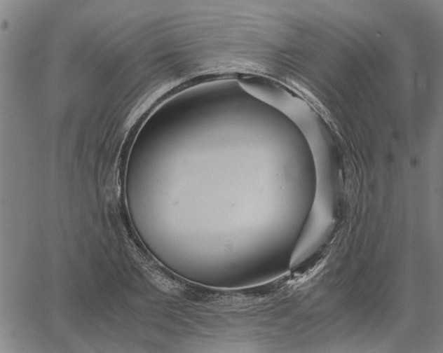 X0000065240885200603031736