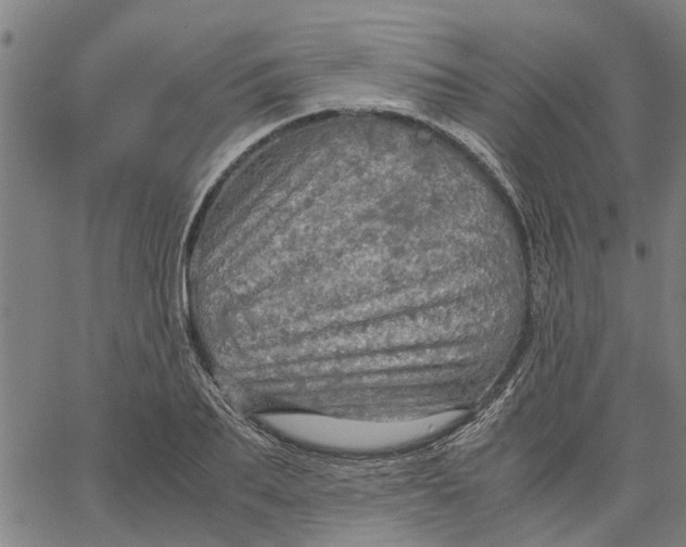 X0000065240887200603031735