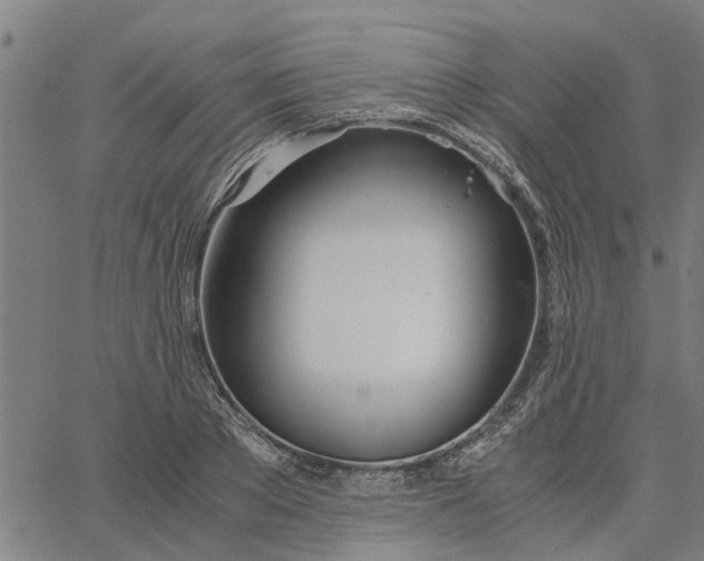 X0000065240889200603031735