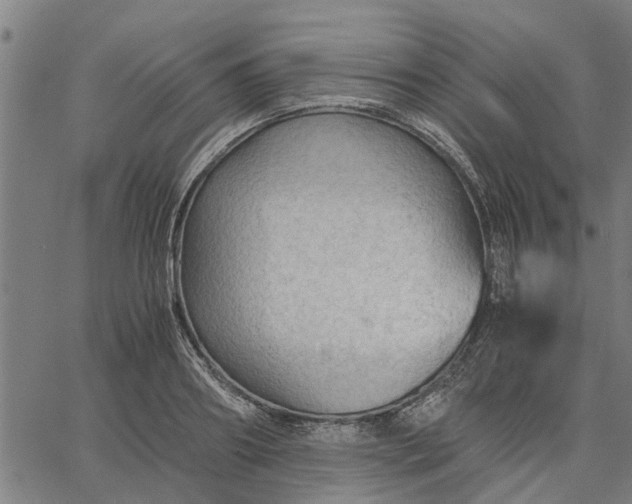 X0000065240890200603031735