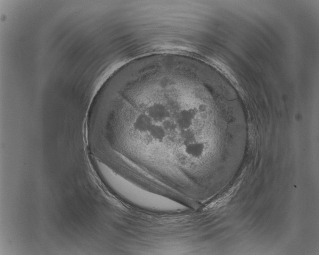 X0000065240891200603031735