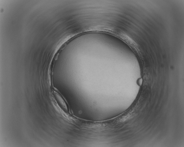 X0000065240892200603031735