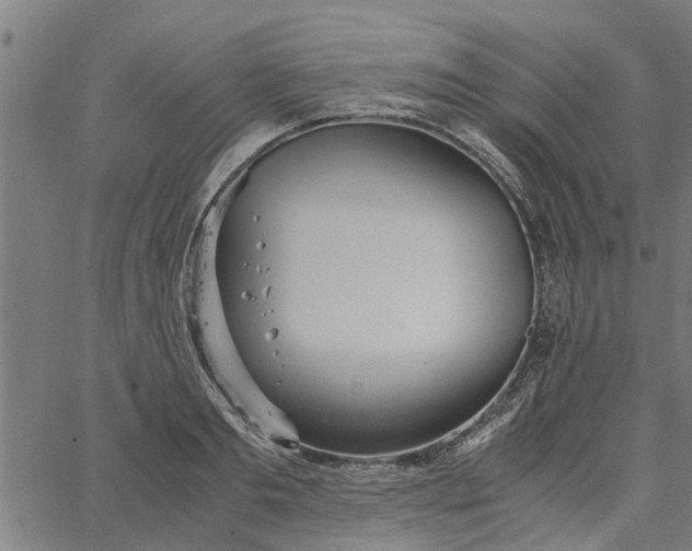 X0000065240893200603031735