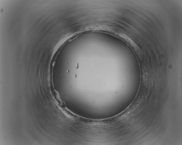 X0000065240894200603031735