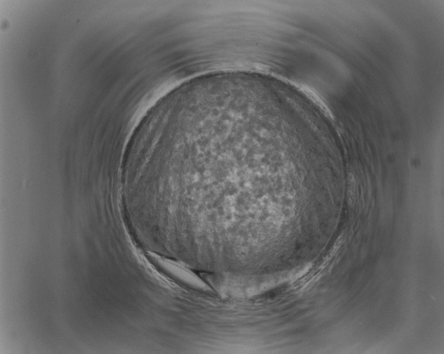 X0000065240895200603031735