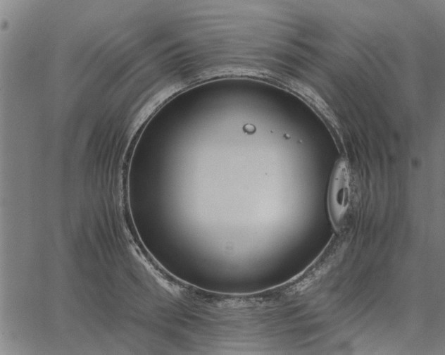 X0000065240898200603031735