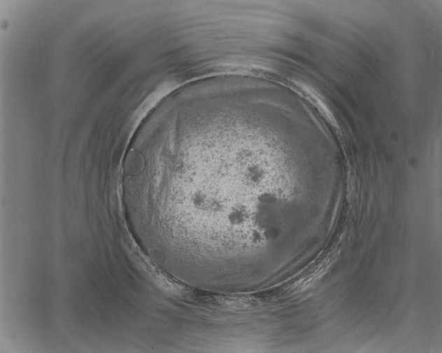 X0000065240899200603031735