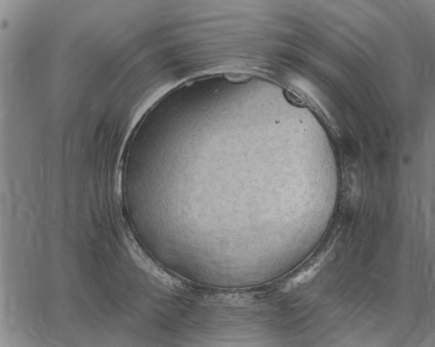 X0000065240900200603031735