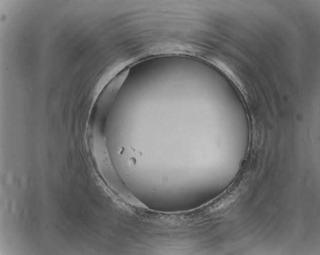 X0000065240901200603031735