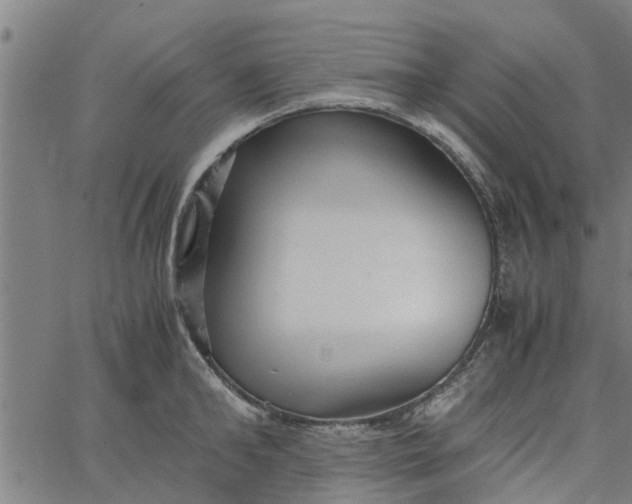 X0000065240902200603031735