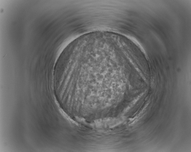 X0000065240903200603031735