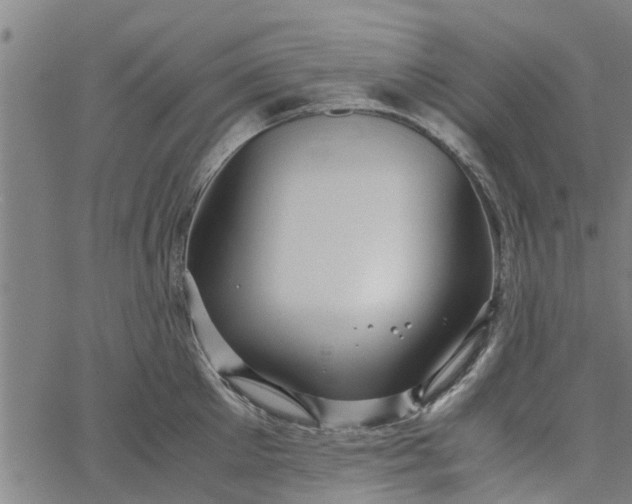 X0000065240905200603031735