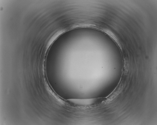 X0000065240906200603031735