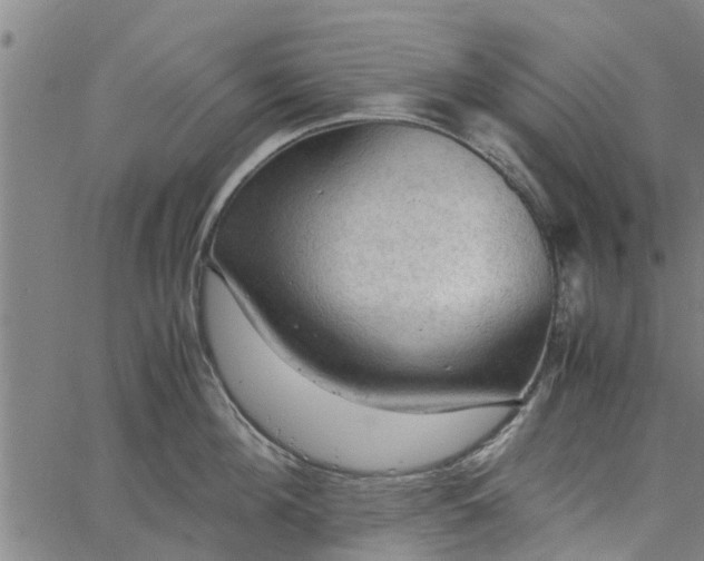 X0000065240908200603031735