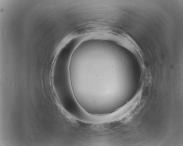 X0000065240909200603031735