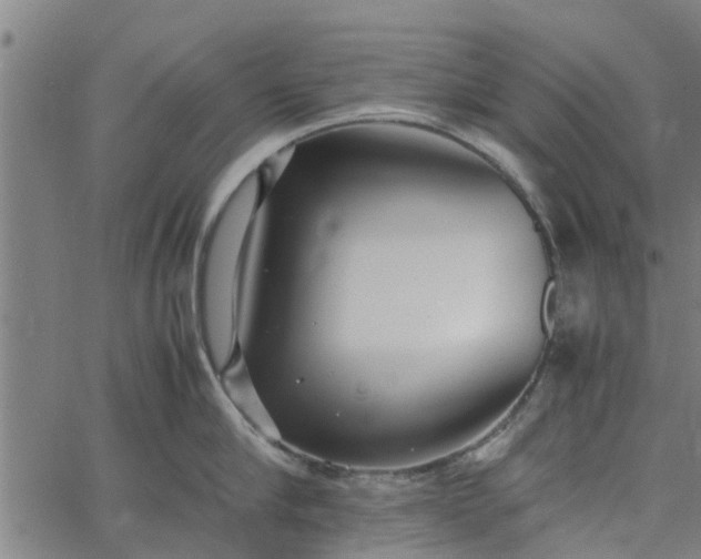 X0000065240910200603031735