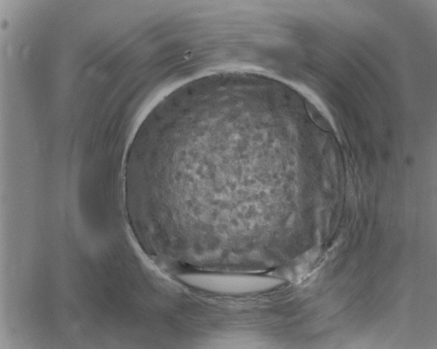 X0000065240911200603031735