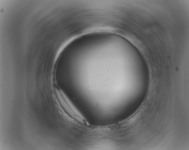 X0000065240912200603031735