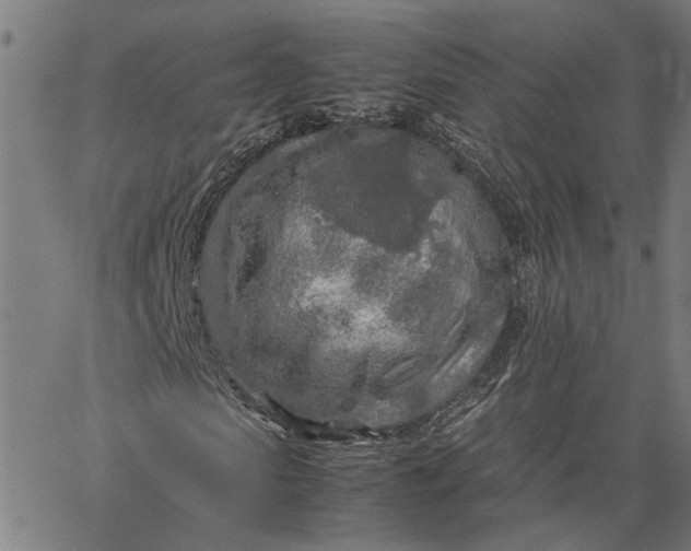 X0000065240913200603031734