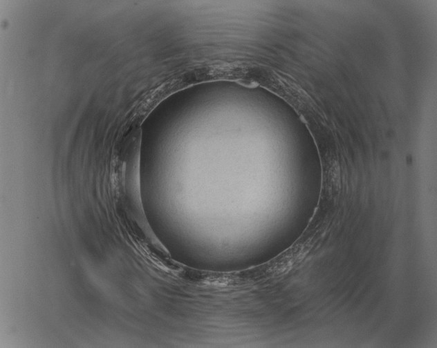 X0000065240914200603031734