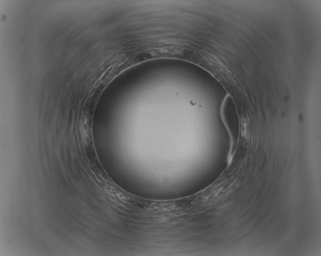 X0000065240915200603031734