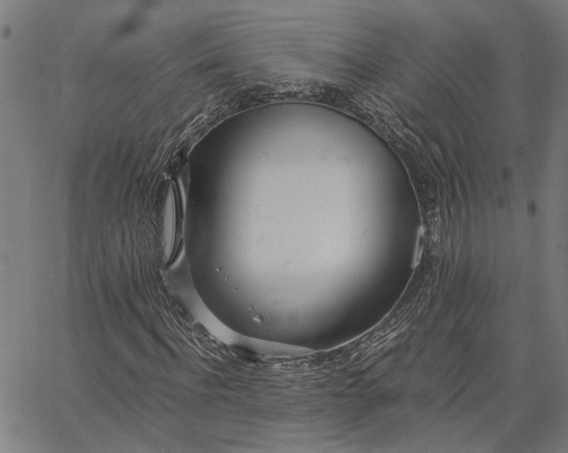 X0000065240916200603031734