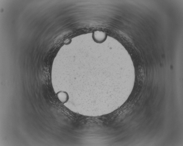 X0000065240918200603031734