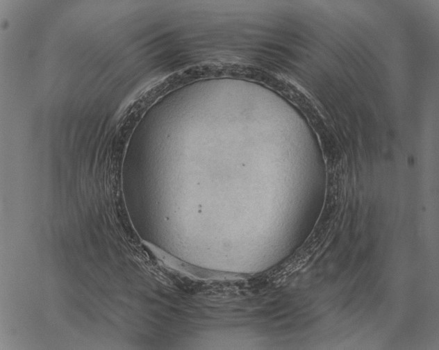 X0000065240919200603031734