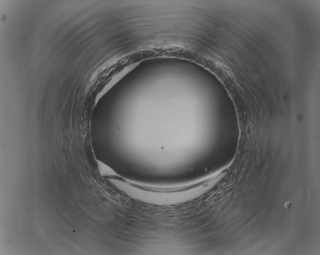 X0000065240920200603031734