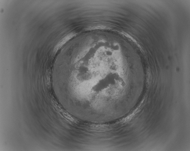 X0000065240921200603031734